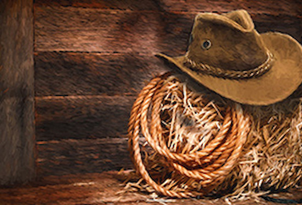 The Wild West