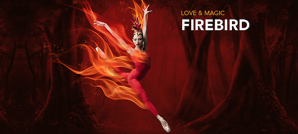 Program Three: Firebird